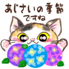 Cute Hydrangea Cat Stickers for June
