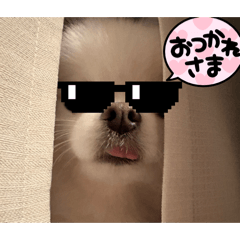 koseki_20260415094143