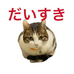 CHIKA_20260415094301