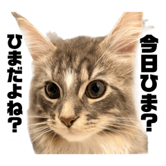 tsukujan_20260415112831