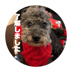 maripepi_20260415113127