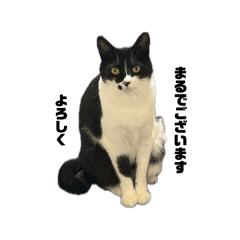 Yuraco_20260415113749