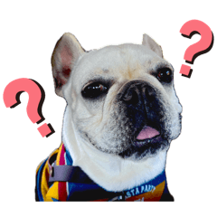 Hach-bei_20260415134314