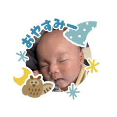 L Aeru_20260415113802