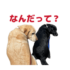 Tsister_20260415134332