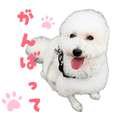 Buri_corporation_20260415111837