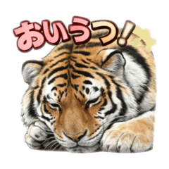 arumakar_20260415134525