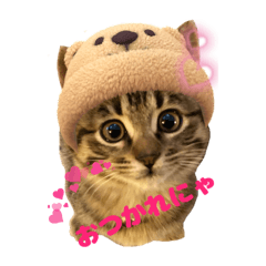 kumahige_20260415135017