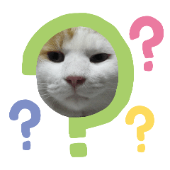 sayaka_20260415134723