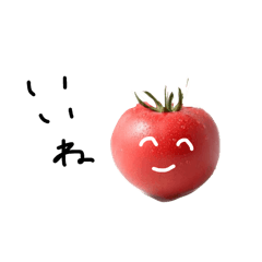 Tomato_20260415141013
