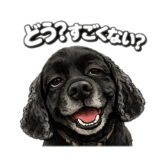 NIKOHI_20260415113824