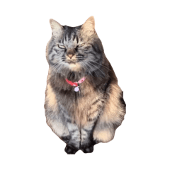 Keitin_20260415202414