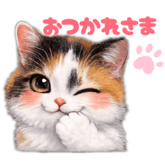 pururu_20260415135214