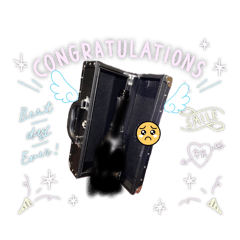 taaaa_20260415203100