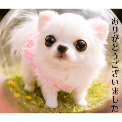 Rincoco_20260415202050