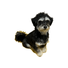 mh.16_20260415203614