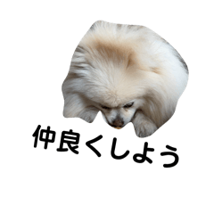 Kodai_20260415203510