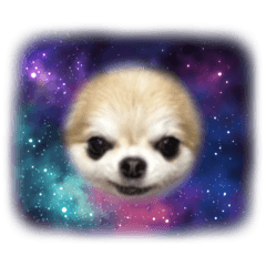 Coco mama_20260415203137