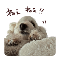 arthome_20260416005744