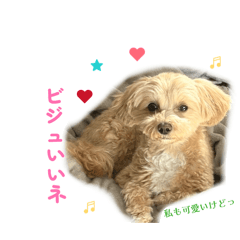 Marina_20260416012445