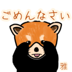 Miyabi.Etc's lesser panda