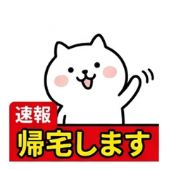 News TV Style Telop Stamps