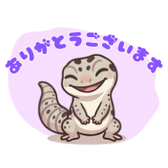 Mack Snow Gecko Polite 5 React