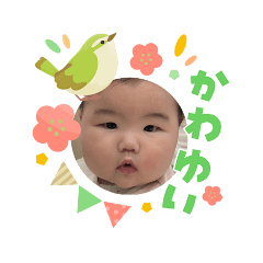 ihorin_20260415214215