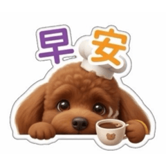 可愛的貴賓饅頭