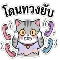 Broke Shorthair: Drowning in Debt