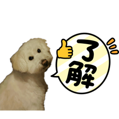 MIYUU_20260415221426