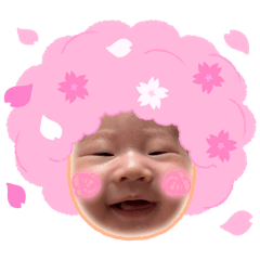 haruhi_20260415233930