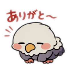 JUNPei_20260415235954