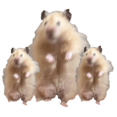 harupipipi_20260416091529