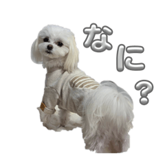 haatan_20260415232120