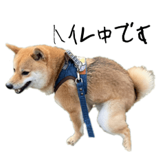 Tomoyamukun_20260415231924