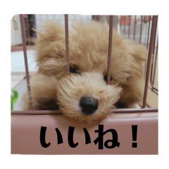 erika_20260415115919