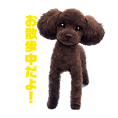 Calachan_20260415232212