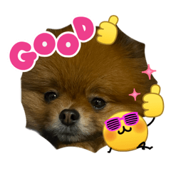 kazukae_20260415115020