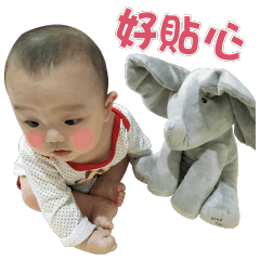 小橘子~