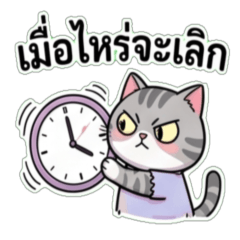 Broke Shorthair: Sleepy & Overworked