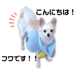 naninuneo_20260415233044