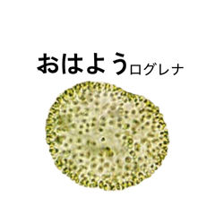 sutanpu_20260416064313