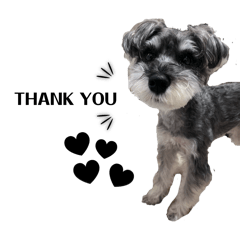 Amanda_20260416072124