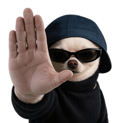 That One Cool Doggo