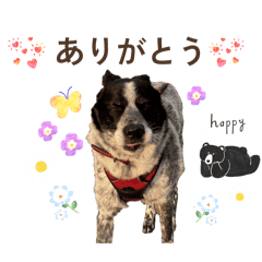 amane_20260416000351