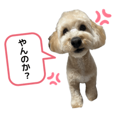 morichan_20260416000652