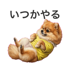 chacha &nene_20260416031049