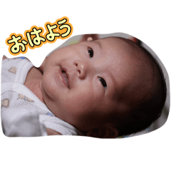 YMD_20260416035536