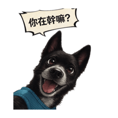 黑毛小狗 x呆桑 真實